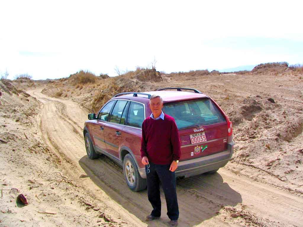 The Sand Track Leading To the Forest That Did Not Exist