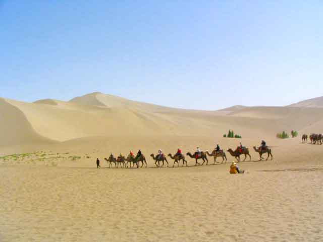 Camels Taking Tourists To the Mingsha Mountain and Crescent Spring From Dunhuang