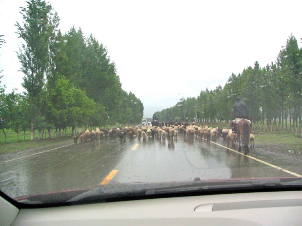 Nomads On Horseback Following Their Herd