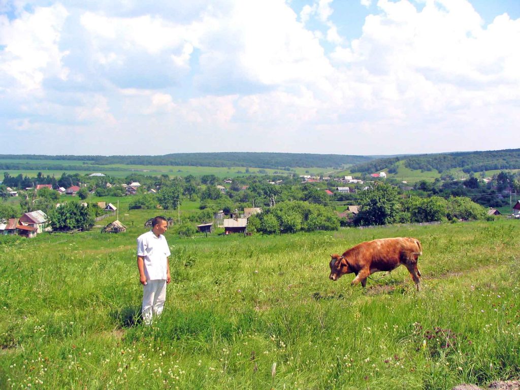 Dan With A Bull Near the Road To Penza